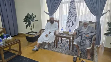তালেবানের আমন্ত্রণে আফগানিস্তান সফরে মামুনুল হকসহ সাত আলেম