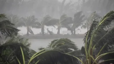 রাতেই ঝড় হতে পারে ঢাকাসহ যেসব অঞ্চলে