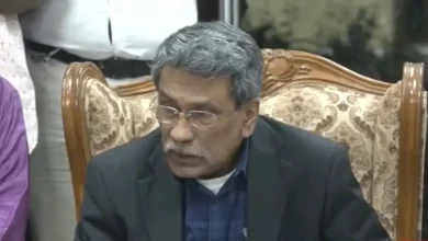 সনদ চূড়ান্তে ছাড় দিচ্ছে রাজনৈতিক দলগুলো: আলী রীয়াজ