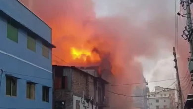 মিরপুরে আগুনের ঘটনায় নিহত বেড়ে ১৬