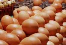 ডিমের বাজারে উত্তাপ, ক্রেতারা বিপাকে