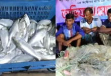 রাজবাড়ীতে অবৈধভাব ইলিশ ধরায় ১৪ জেলের কারাদণ্ড
