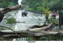 ভারতের অন্ধ্রপ্রদেশে ঘূর্ণিঝড় মোন্থার আঘাতে ১ জনের মৃত্যু