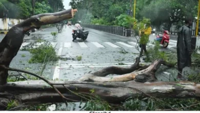 ভারতের অন্ধ্রপ্রদেশে ঘূর্ণিঝড় মোন্থার আঘাতে ১ জনের মৃত্যু
