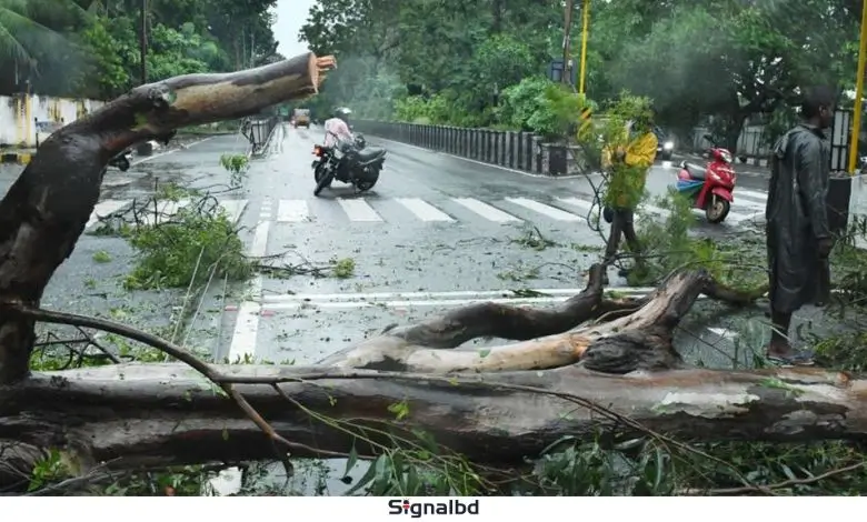 ভারতের অন্ধ্রপ্রদেশে ঘূর্ণিঝড় মোন্থার আঘাতে ১ জনের মৃত্যু