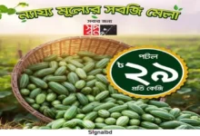 কৃষক হতে সবজি কিনুন, স্বপ্ন দামে খুশি হন।