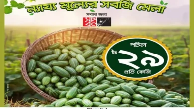 কৃষক হতে সবজি কিনুন, স্বপ্ন দামে খুশি হন।