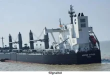 আমেরিকা থেকে প্রথমবারের মতো সরকারিভাবে গম আমদানি শুরু