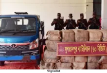 ৩ কোটি টাকার ভারতীয় শাড়ি জব্দ, বিজিবি তৎপর।