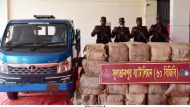 ৩ কোটি টাকার ভারতীয় শাড়ি জব্দ, বিজিবি তৎপর।