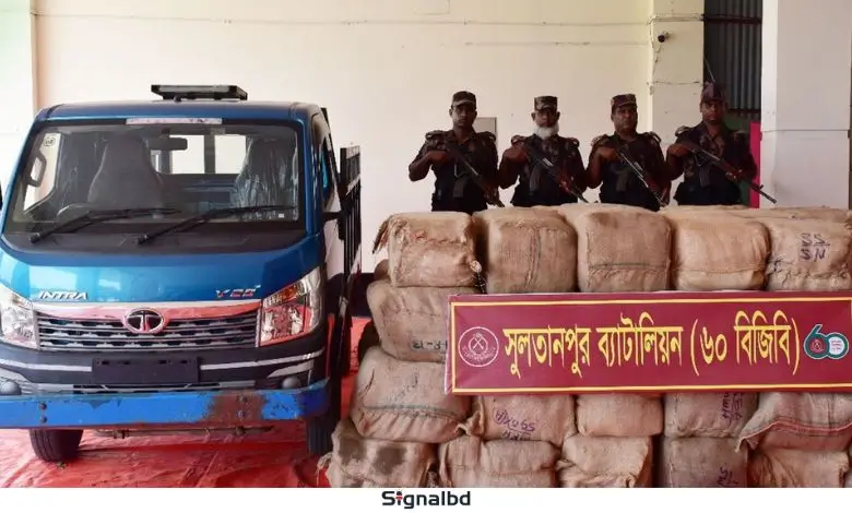 ৩ কোটি টাকার ভারতীয় শাড়ি জব্দ, বিজিবি তৎপর।