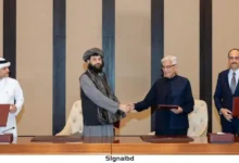 পাকিস্তান-আফগানিস্তান সীমান্তে নতুন যুদ্ধবিরতি, শান্তির আশায় দুই দেশ