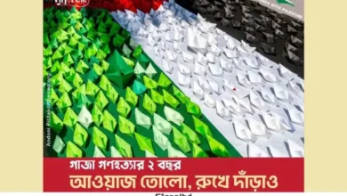 গাজা গণহত্যার দুই বছর: ফিলিস্তিনের পক্ষে দৃকের সাংস্কৃতিক প্রতিরোধ