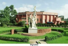 গোপনে সহপাঠীদের অপ্রীতিকর ছবি তুলে সিনিয়র ভাইকে পাঠাতেন বাকৃবি ছাত্রী