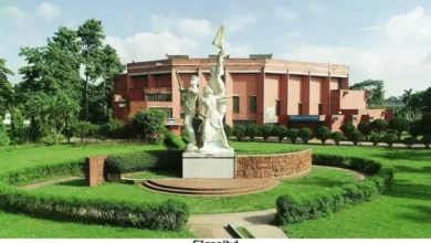 গোপনে সহপাঠীদের অপ্রীতিকর ছবি তুলে সিনিয়র ভাইকে পাঠাতেন বাকৃবি ছাত্রী