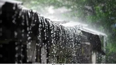 ভারী বৃষ্টি নিয়ে ৩ বিভাগে ৪৮ ঘণ্টার সতর্কতা