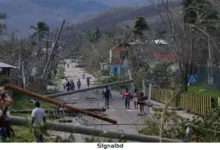 মেলিসার তাণ্ডবে ক্যারিবীয় অঞ্চল বিধ্বস্ত, নিহত ২৫