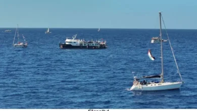 গাজার জন্য ত্রাণবাহী জাহাজবহরকে আটকাতে ব্যর্থ হলো ইসরায়েল