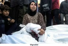 গাজ্জায় ইসরাইলের বর্বর হামলায় ২৪ শিশুসহ ৬৩ শহীদ