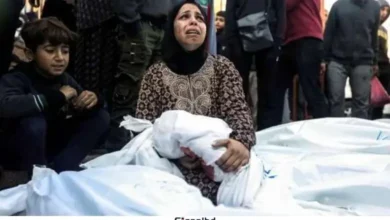 গাজ্জায় ইসরাইলের বর্বর হামলায় ২৪ শিশুসহ ৬৩ শহীদ