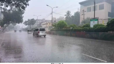 ঢাকায় হালকা বৃষ্টির সম্ভাবনা, জানুন দেশের আবহাওয়ার পূর্ণাঙ্গ পূর্বাভাস