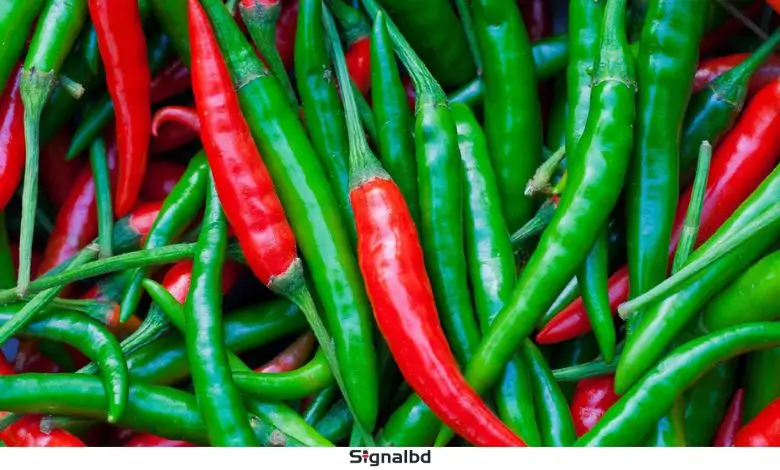 কাঁচামরিচের কেজি ৩২০ টাকা, অন্যান্য সবজিরও দাম বেড়েছে