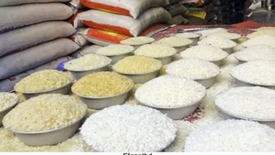 চালের বাজারে অস্থিরতা: সিন্ডিকেটের পাঁয়তারা