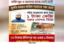 এবার ১ টাকা কেজিতে গরুর মাংস বিতরণের ঘোষণা সেই এমপি প্রার্থীর
