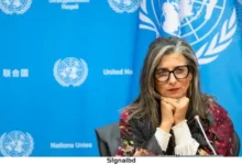 ছোট নৌকাগুলো গাজার কাছাকাছি পৌঁছাতে পারছে, কিন্তু নৌবাহিনী কেন পারছে না?