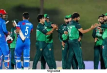 আফগানিস্তানের পক্ষে ‘কাজ করছে’ আইসিসি, দাবি পাকিস্তানের
