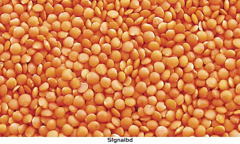 মসুর ডালের দাম বেড়ে কেজিতে ২০ টাকা
