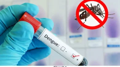ডেঙ্গুতে ২ জনের মৃত্যু, হাসপাতালে ভর্তি ৪৯০; স্বাস্থ্য বিভাগে সতর্কতা