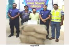 সীমান্তে দুই মণ গাঁজাসহ দুই মাদক ব্যবসায়ী গ্রেপ্তার