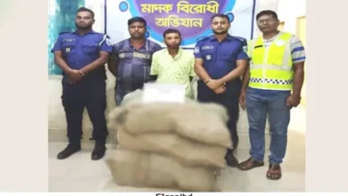 সীমান্তে দুই মণ গাঁজাসহ দুই মাদক ব্যবসায়ী গ্রেপ্তার