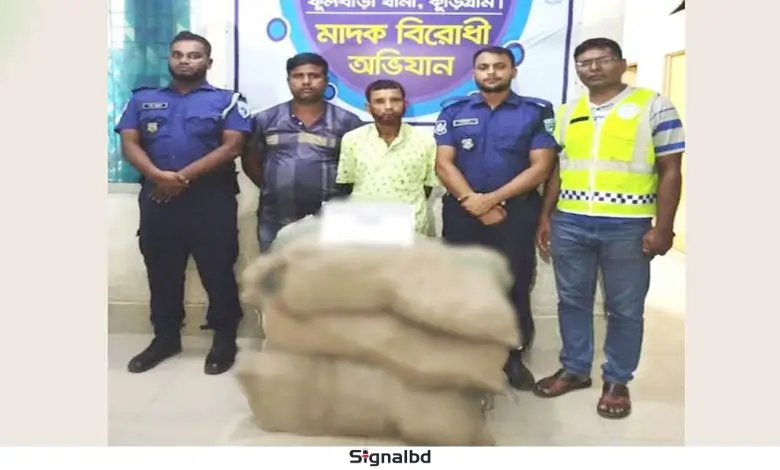 সীমান্তে দুই মণ গাঁজাসহ দুই মাদক ব্যবসায়ী গ্রেপ্তার