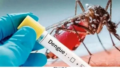 ডেঙ্গুতে আরও ৪ জনের মৃত্যু, হাসপাতালে ভর্তি ১১৪৩