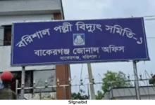 বরিশালের বাকেরগঞ্জে পল্লী বিদ্যুতের অস্বাভাবিক বিল নিয়ে গ্রাহকদের ক্ষোভ