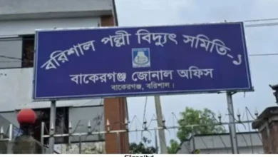 বরিশালের বাকেরগঞ্জে পল্লী বিদ্যুতের অস্বাভাবিক বিল নিয়ে গ্রাহকদের ক্ষোভ