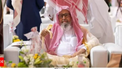 সৌদি আরবের নতুন গ্র্যান্ড মুফতি শেখ সালেহ আল-ফাওজান