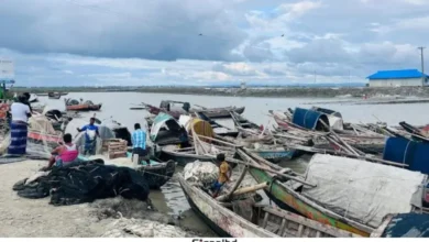 সোনাগাজীতে মাছ ধরায় ২২ দিনের নিষেধাজ্ঞা: ২৭৫ জেলে পাবেন সরকারি ভাতা