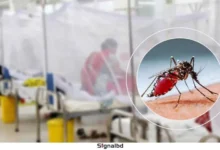 ডেঙ্গু আতঙ্ক: একদিনে ৬ মৃত্যু, হাসপাতালে ভর্তি ৯৮৩ জন রোগী