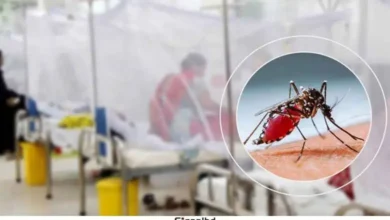 ডেঙ্গু আতঙ্ক: একদিনে ৬ মৃত্যু, হাসপাতালে ভর্তি ৯৮৩ জন রোগী