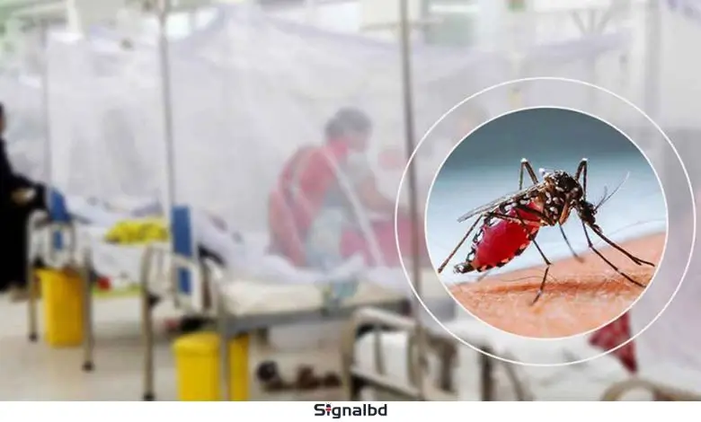ডেঙ্গু আতঙ্ক: একদিনে ৬ মৃত্যু, হাসপাতালে ভর্তি ৯৮৩ জন রোগী