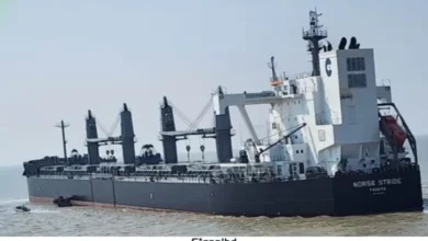 যুক্তরাষ্ট্র থেকে বেশি দামে গম আমদানি, যা বলছে সরকার