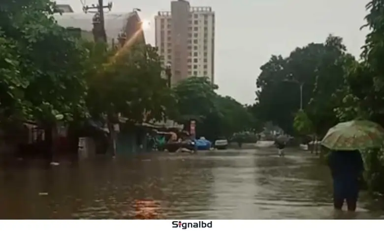 ৮ বিভাগেই ভারী বৃষ্টির সতর্কতা, ভূমিধস-জলাবদ্ধতার শঙ্কা