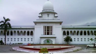 তত্ত্বাবধায়ক সরকার পুনর্বহালের দাবিতে আপিল শুনানি শুরু