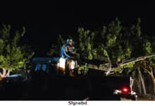পাকিস্তানের বিমান হামলার জবাবে পাল্টা হামলা চালিয়েছে আফগানিস্তান