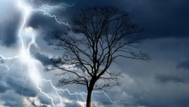 bangladesh weather forcast