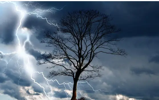 bangladesh weather forcast