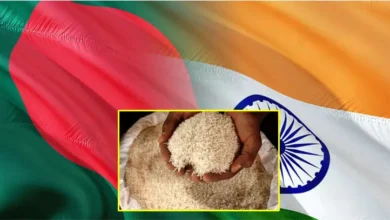 ভারত থেকে ২১৯ কোটি টাকায় ৫০ হাজার টন চাল কিনছে সরকার